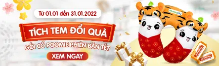 banner-right-top