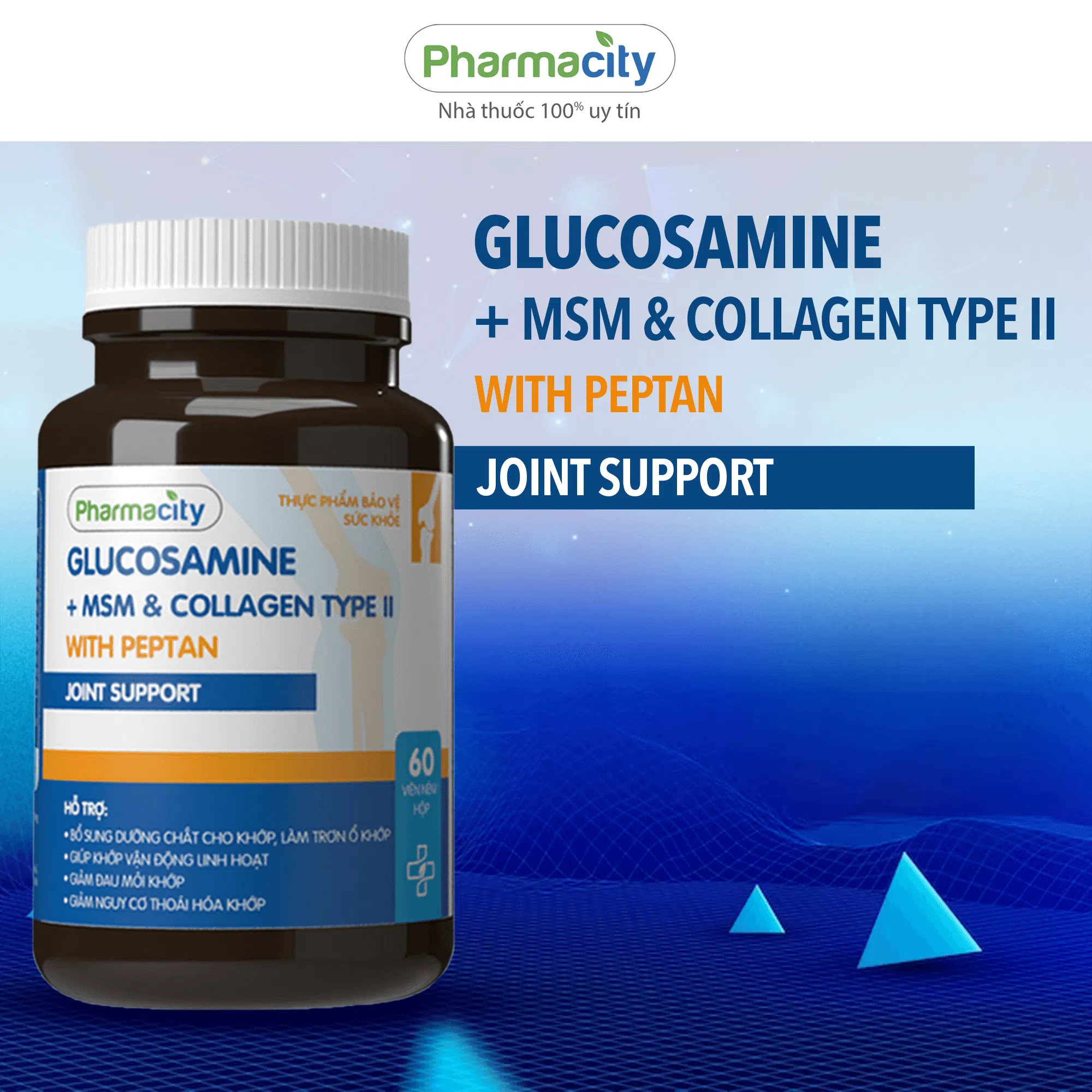 Thực phẩm bảo vệ sức khỏe Glucosamine + MSM & Collagen Type II With