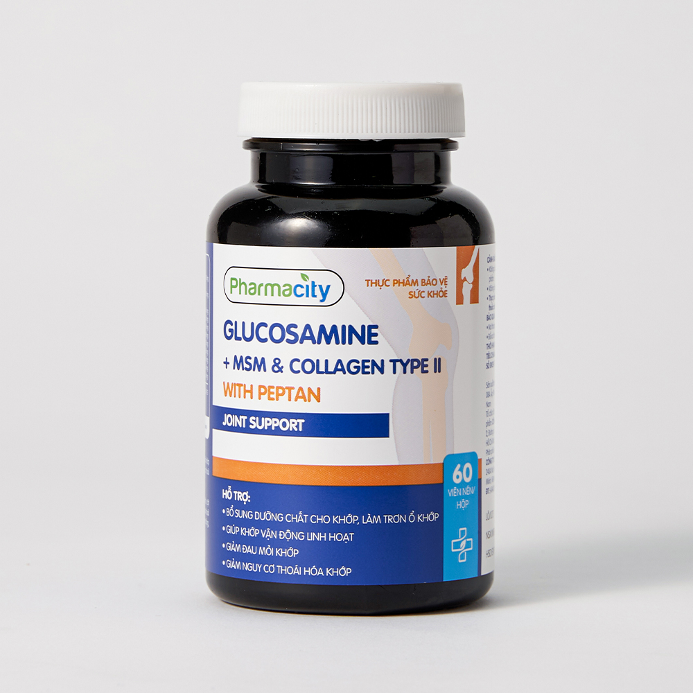 Thực phẩm bảo vệ sức khỏe Glucosamine + MSM & Collagen Type II With
